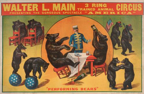 Walter L. Main: Performing Bears