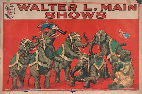 Walter L. Main: Elephants