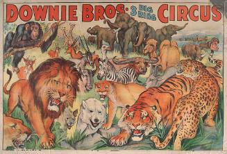 Downie Bros.: Wild Animals