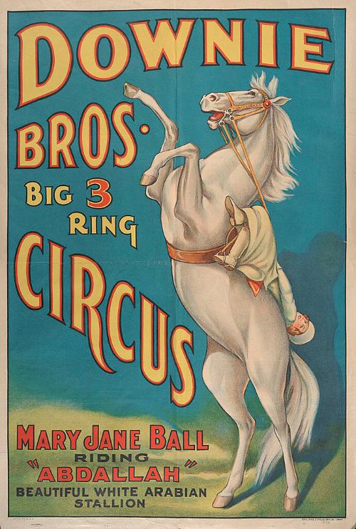 Downie Bros.: Mary Jane Ball Riding Abdallah