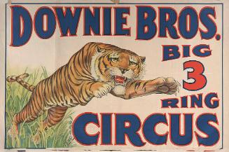 Downie Bros.: Tiger