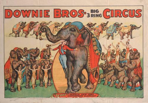 Downie Bros.: Teddy