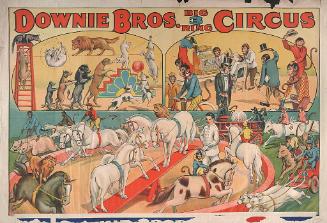Downie Bros.: Animal Acts