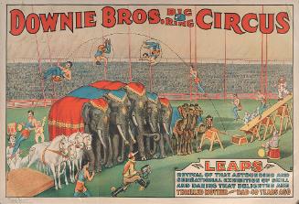 Downie Bros.: Leaps