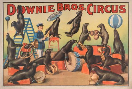 Downie Bros.: Seal Band