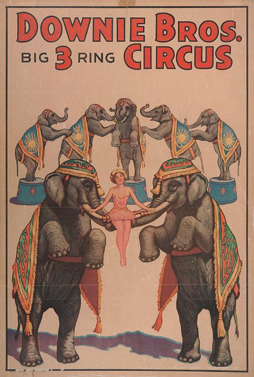 Downie Bros.: Elephant Girl
