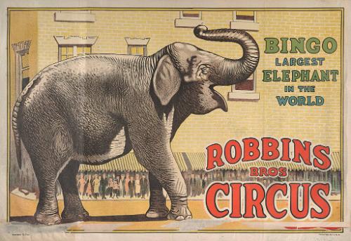 Robbins Bros. Railroad: Bingo