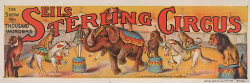 Seils-Sterling: Animal Acts