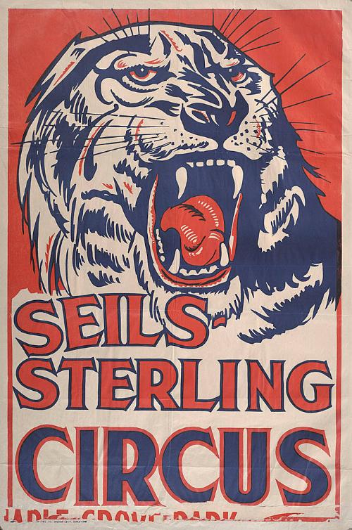 Seils-Sterling: Snarling Tiger
