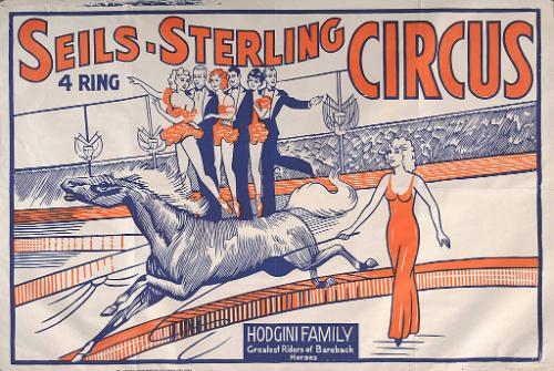 Seils-Sterling: Hodgini Family