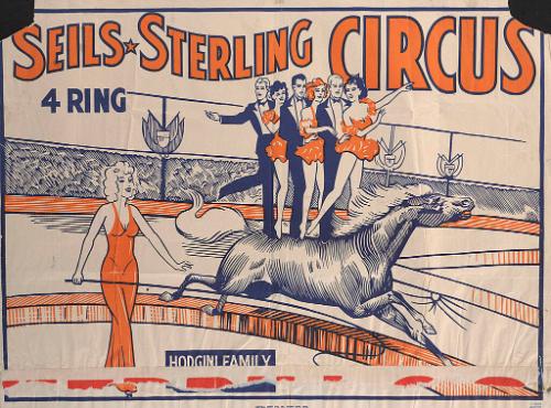 Seils-Sterling: Hodgini Family