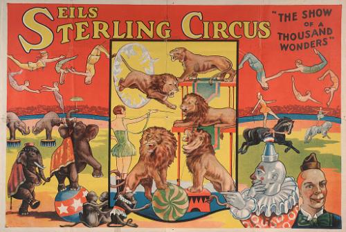 Seils-Sterling: Animal Acts