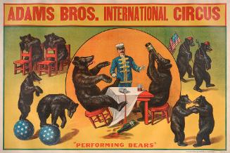 Adams Brothers International Circus: Performing Bears