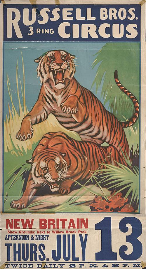 Russell Bros.: Tigers