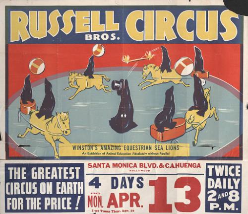 Russell Bros.: Winston's Amazing Equestrian Sea Lions