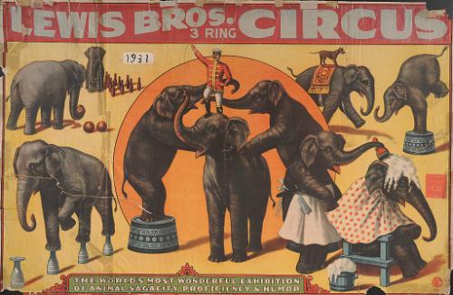 Lewis Bros.: Animal Sagacity