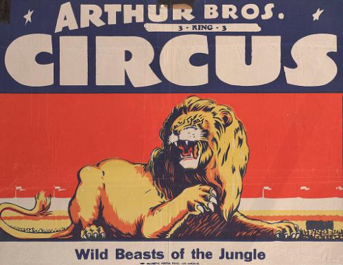 Arthur Bros.: Wild Beasts of the Jungle