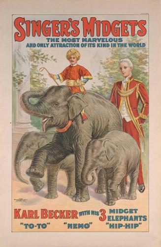 Singer's Midgets: Karl Becker with his Three Midget Elephants