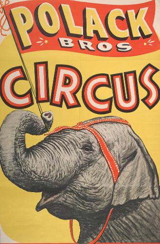 Polack Brothers: Elephant