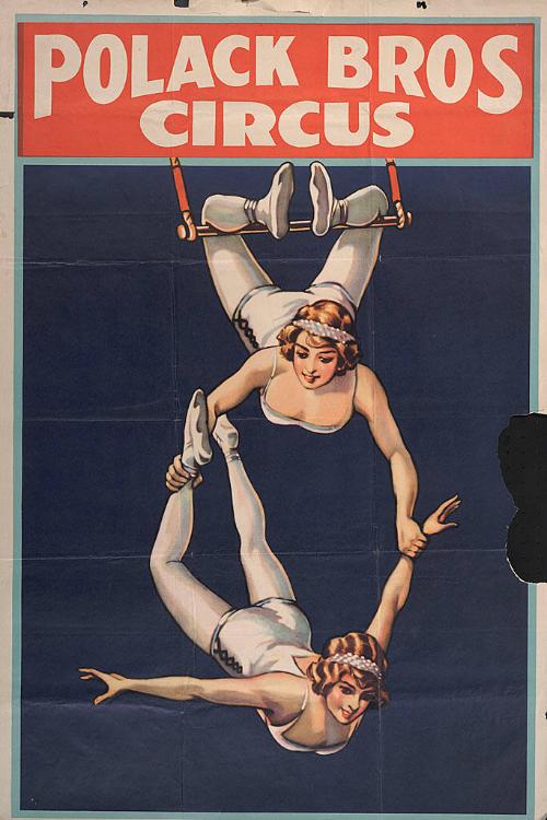 Polack Brothers: Aerialists