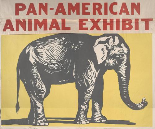 Pan American: Elephant