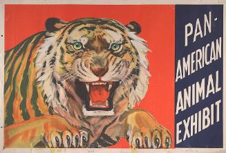 Pan American: Tiger