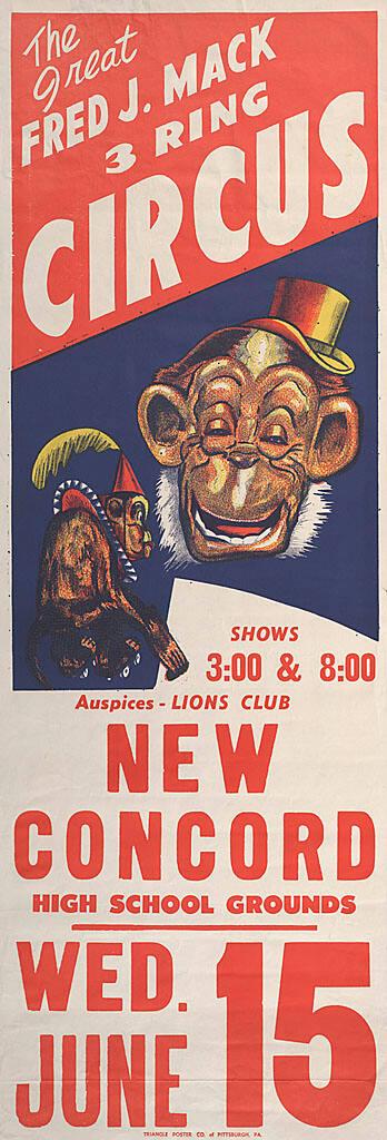 Fred J. Mack: Chimpanzees