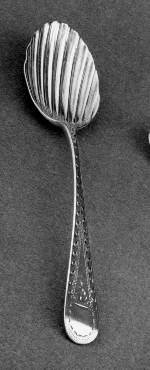 Shell Spoon