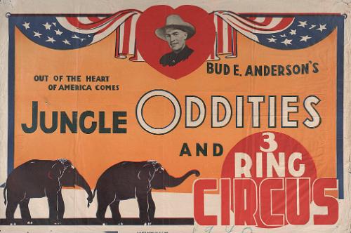 Bud Anderson: Jungle Oddities