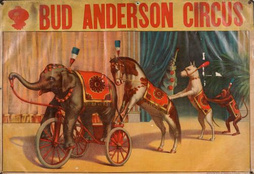 Bud Anderson: Animal Acts
