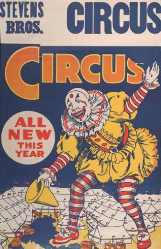 Stevens Bros.: Clown Tips Hat