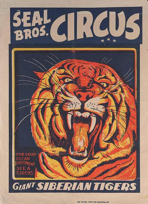 Seal Bros.: Giant Siberian Tiger