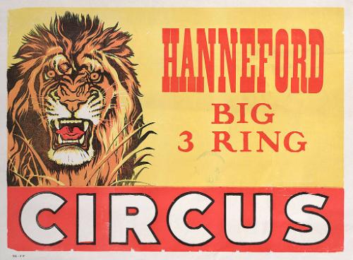 Hanneford: Lion
