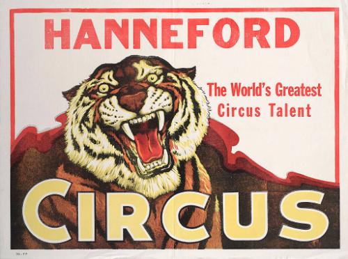 Hanneford: Tiger