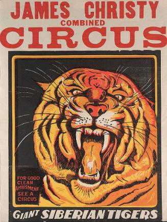 James Christy: Giant Siberian Tiger