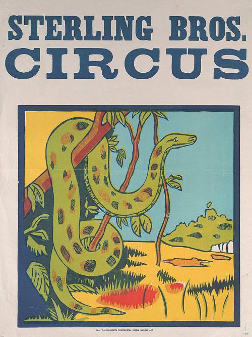 Sterling Bros.: Snake
