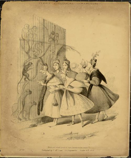 Female Zoological Characters