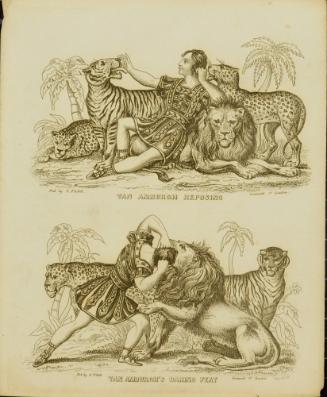 Van Amburgh Reposing / Van Amburgh's Daring Feat