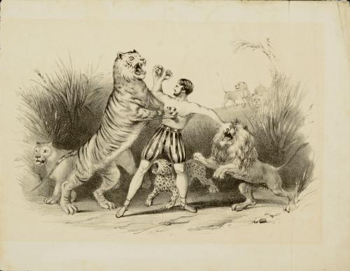 Performer fighting off lion and tiger