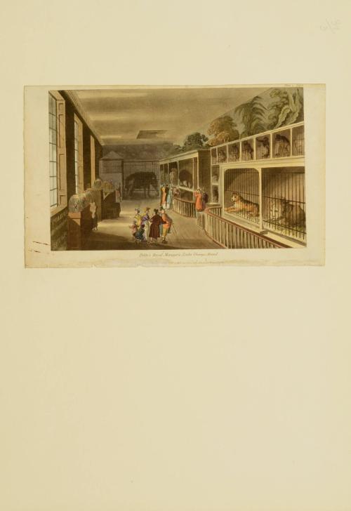 Polito's Royal Menagerie, Exeter 'Change, Strand