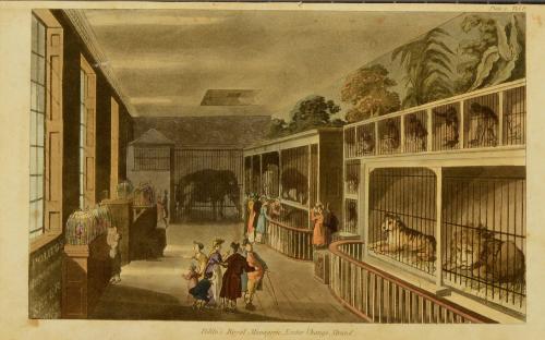 Polito's Royal Menagerie, Exeter 'Change, Strand