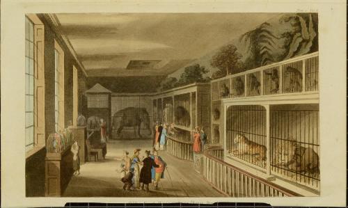 Polito's Royal Menagerie, Exeter 'Change, Strand