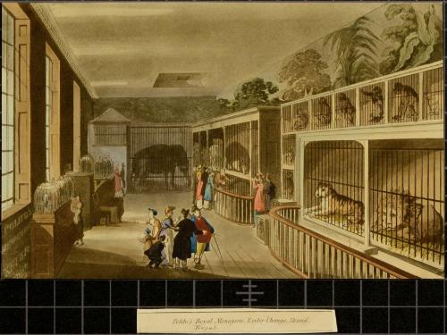 Polito's Royal Menagerie, Exeter 'Change, Strand