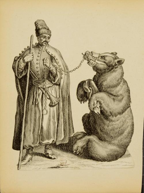 Captive bear with Arab handler