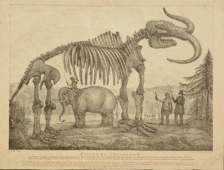 Missouri Leviathan