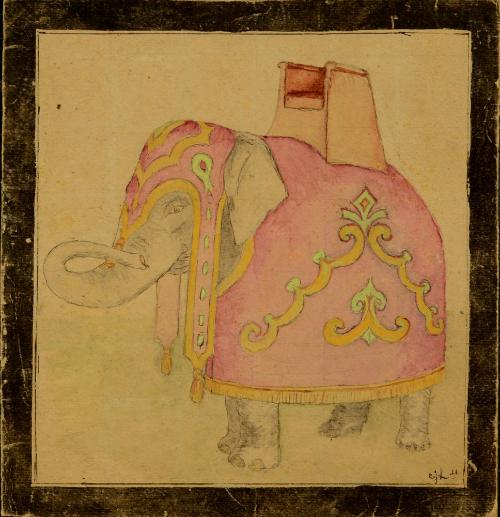 Giraffes, Granny Dears, and other novelties