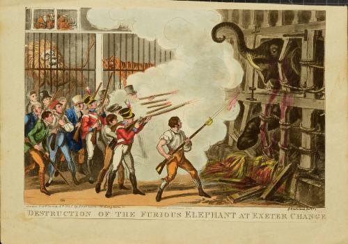 The Destruction of the Furious Elephant at Exeter Change, March 1, 1826
