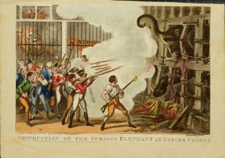 The Destruction of the Furious Elephant at Exeter Change, March 1, 1826