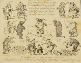 Elephantine Performances