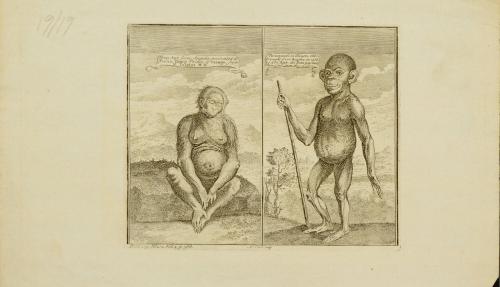 Man Ape and Chimpanzi